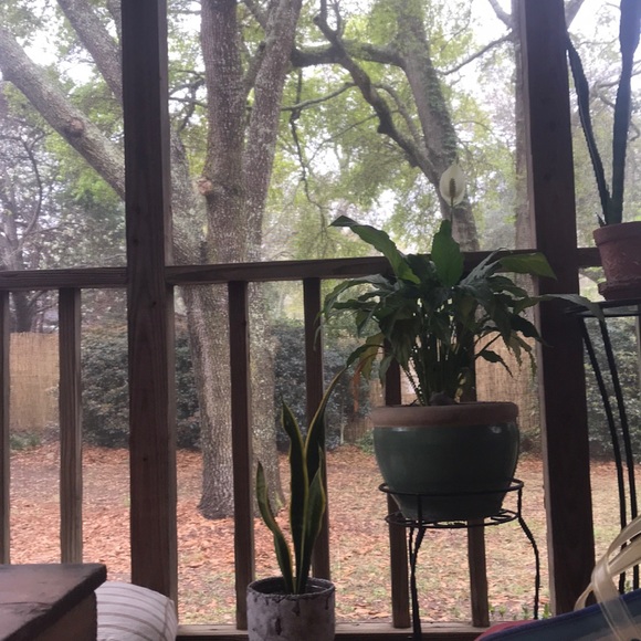 Meet your Posher, Eliza - Picture 1 of 1